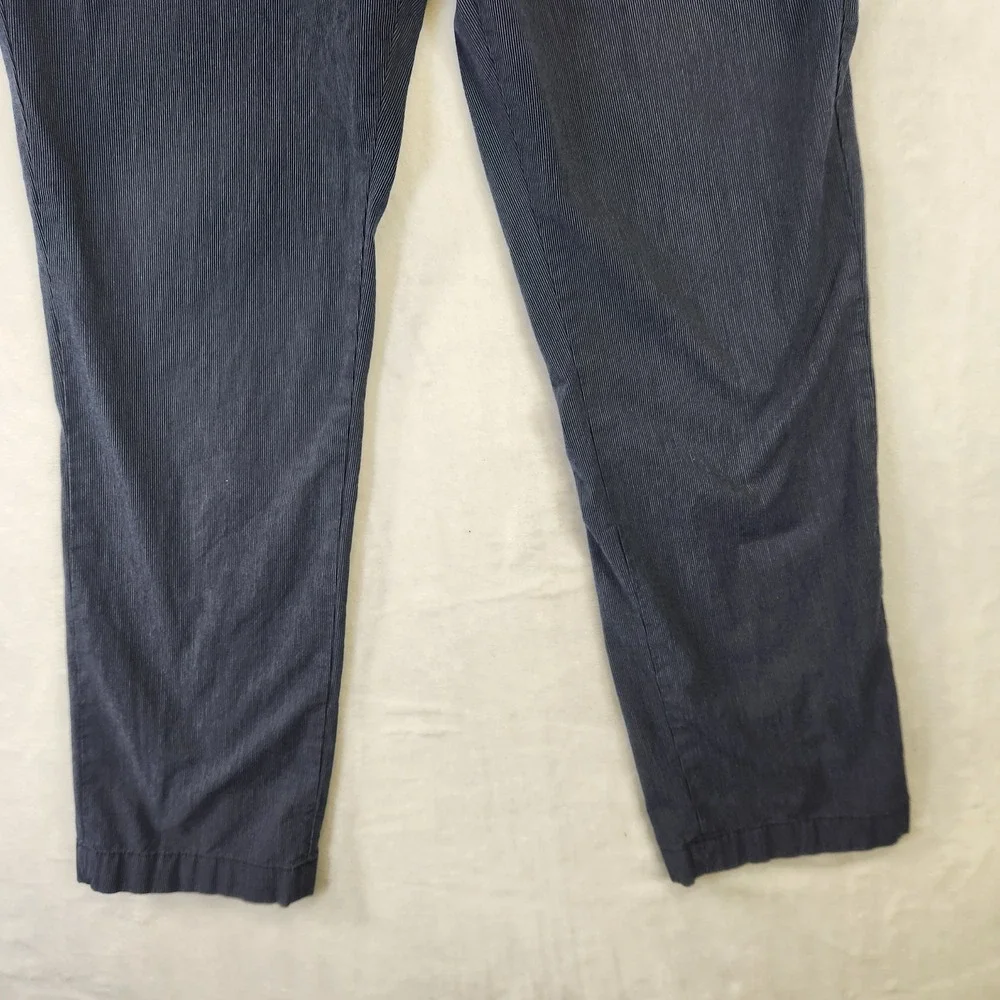 Banana Republic Aiden Fit Mens‎ 36x32 Navy Blue White Micro Stripe Chino Pants
